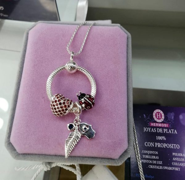 Colgante, Cadena y 2 Charms Plata Ley 925 (Estilo Pandora Para Charms). 